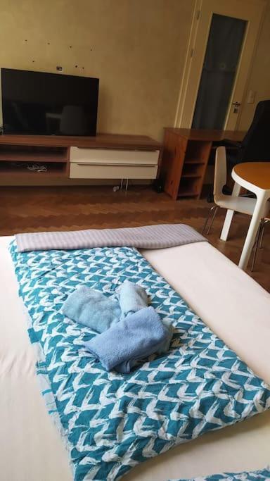 Appartement Spacious Modern 3 Bedroom Aparment *