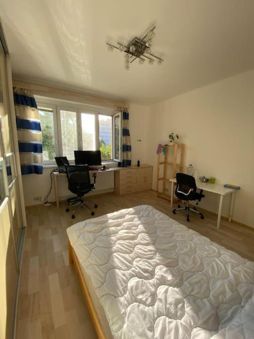 Appartement Spacious Modern 3 Bedroom Aparment *